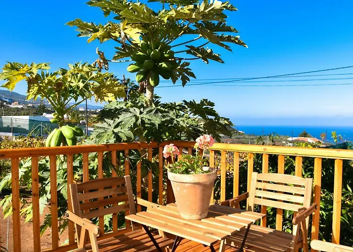 Hébergement de vacances Vinas 2 Icod De Los Vinos