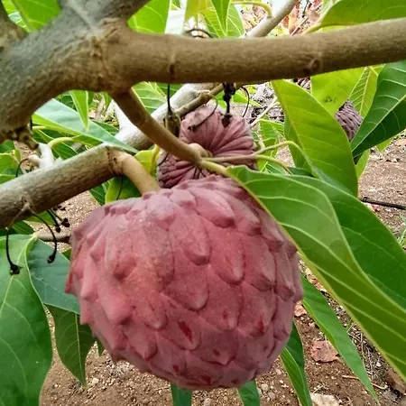 Hébergement de vacances Vinas 2