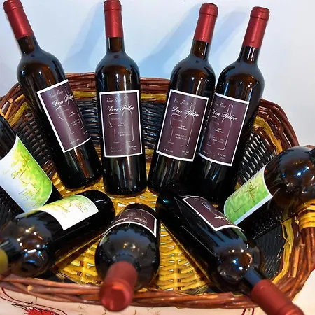 Hébergement de vacances Vinas 2 Icod De Los Vinos