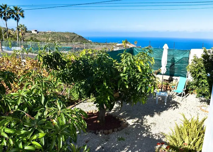 Vinas 2 * Icod de los Vinos