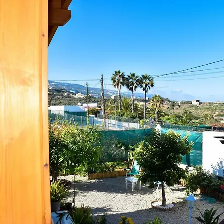 Viñas 2 Icod De Los Vinos